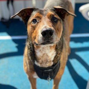 Meet your Posher, Caroline